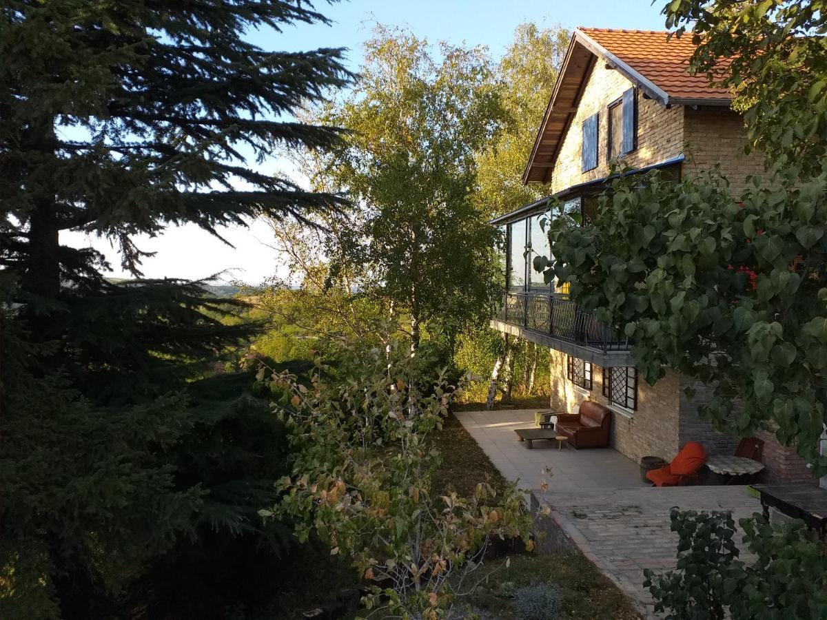 Lodging Vidmar Sremski Karlovci Esterno foto