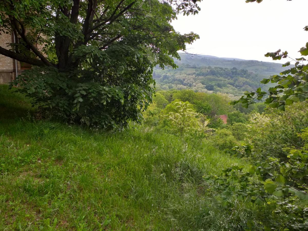 Lodging Vidmar Sremski Karlovci Esterno foto