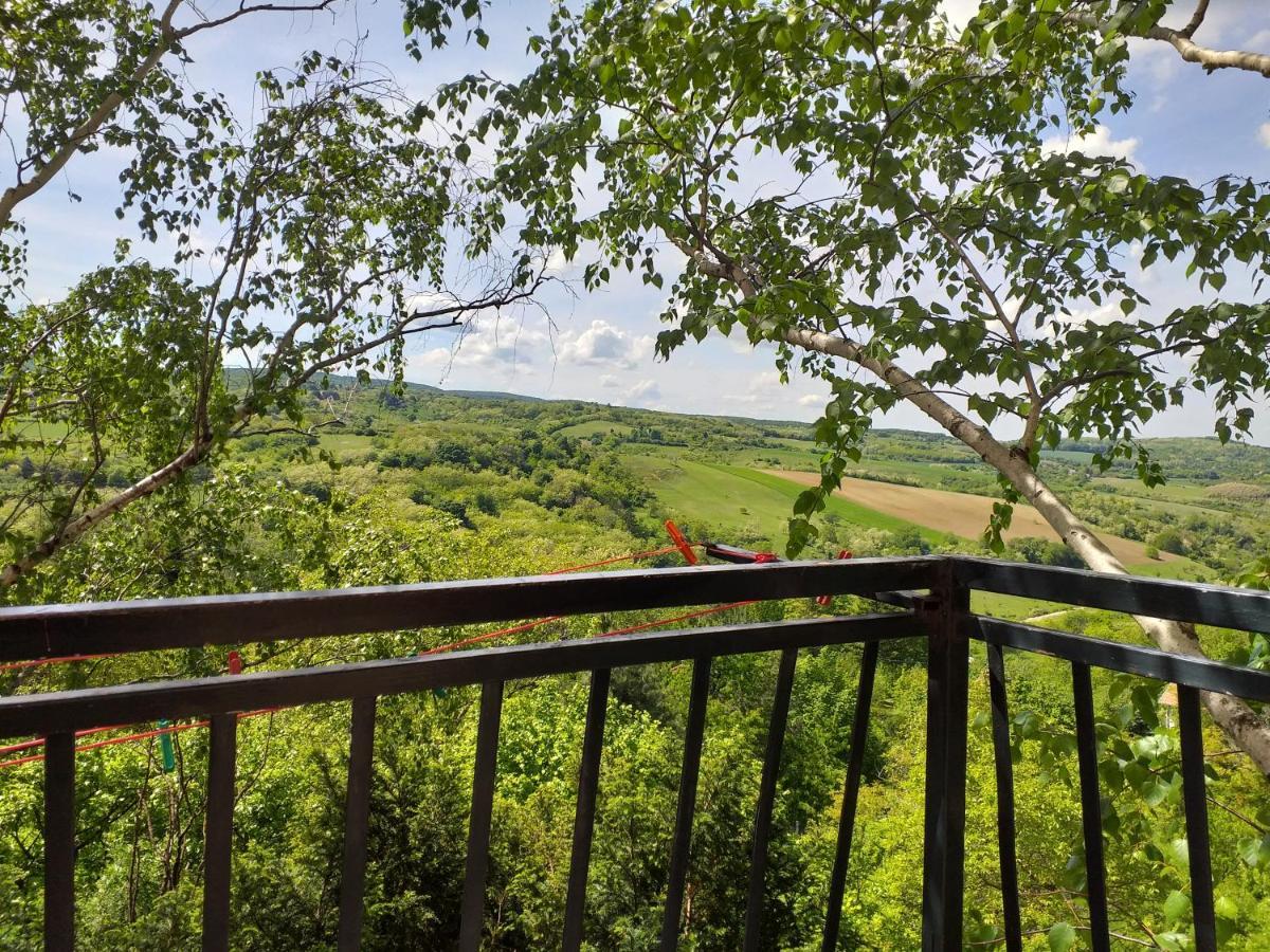 Lodging Vidmar Sremski Karlovci Esterno foto