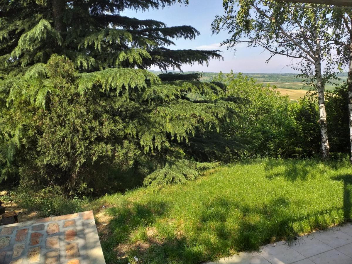 Lodging Vidmar Sremski Karlovci Esterno foto