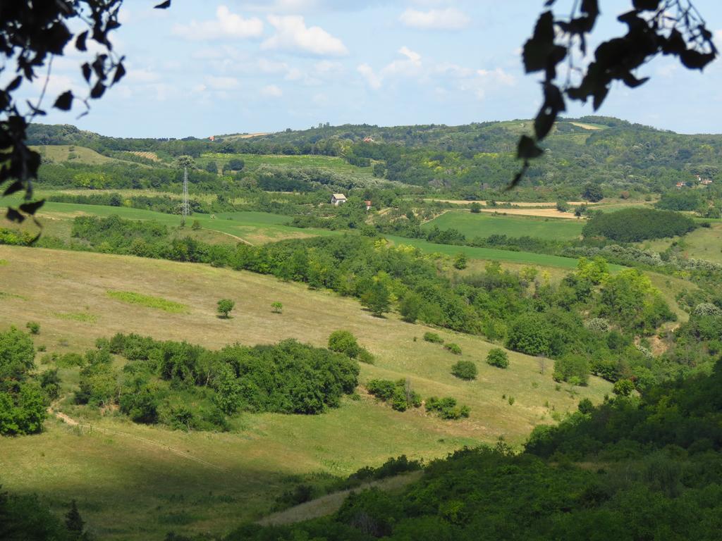 Lodging Vidmar Sremski Karlovci Esterno foto