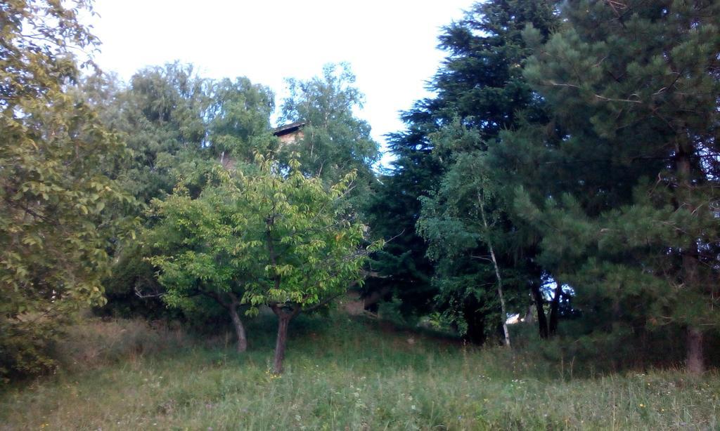 Lodging Vidmar Sremski Karlovci Camera foto