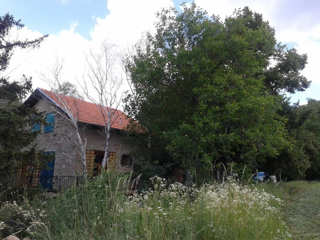 Lodging Vidmar Sremski Karlovci Esterno foto