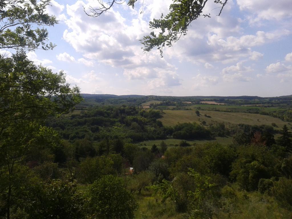 Lodging Vidmar Sremski Karlovci Esterno foto
