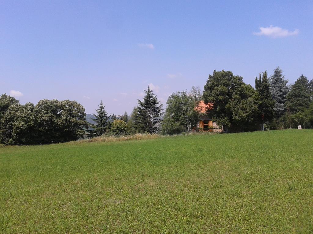 Lodging Vidmar Sremski Karlovci Camera foto