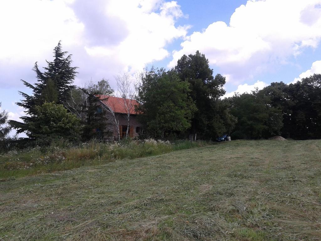 Lodging Vidmar Sremski Karlovci Esterno foto