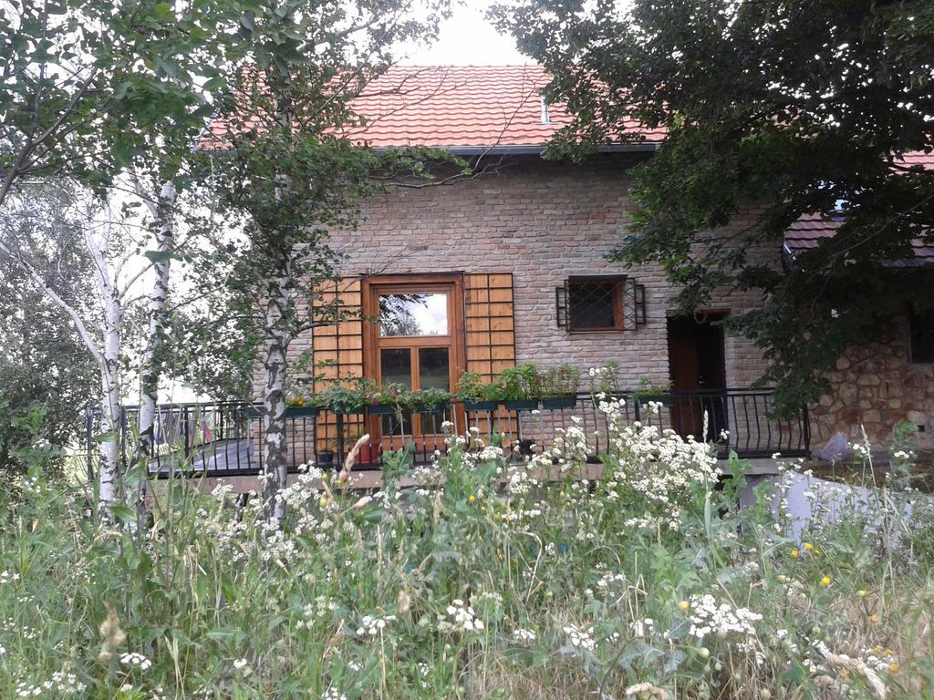 Lodging Vidmar Sremski Karlovci Esterno foto