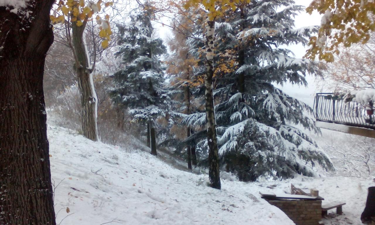 Lodging Vidmar Sremski Karlovci Esterno foto