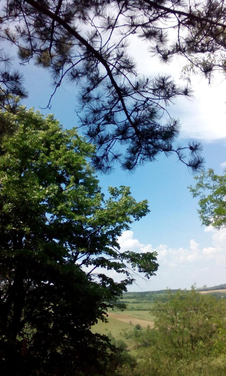 Lodging Vidmar Sremski Karlovci Esterno foto