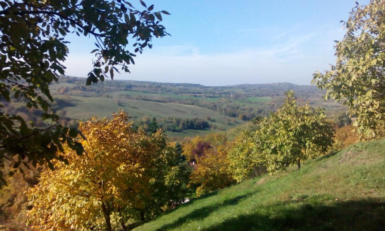 Lodging Vidmar Sremski Karlovci Esterno foto
